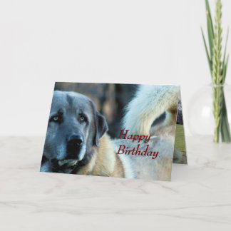Cartão de aniversário Achai- personalize qualquer
