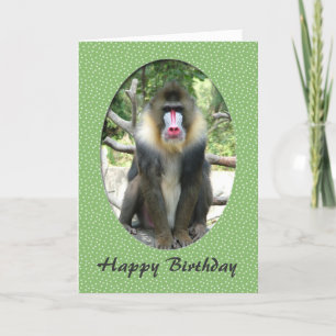 Cartão de aniversário adorável do babuíno animal