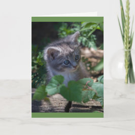 Cartão de aniversário adorável do gatinho