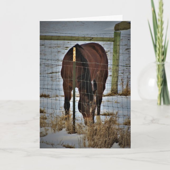 Cartão de Aniversário "Agape Acres" (Frente)