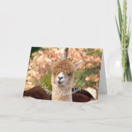 Cartão de Aniversário Alpaca Belle