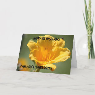Cartão de aniversário amarelo do hemerocallis