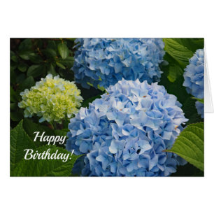 Cartão de Aniversário Azul Hydrangea 814