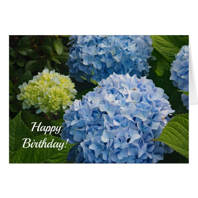 Cartão de Aniversário Azul Hydrangea 814 (Frente Horizontal)