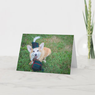 Cartão de aniversário Bagpipe Corgi