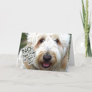 CARTÃO DE ANIVERSÁRIO BAIXO - NÃO, DIGA-ME QUE NÃO