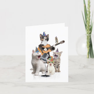 Cartão de Aniversário - Bandas Animais - Gatos