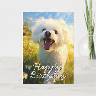 Cartão de Aniversário Bichon Frise Personalizado
