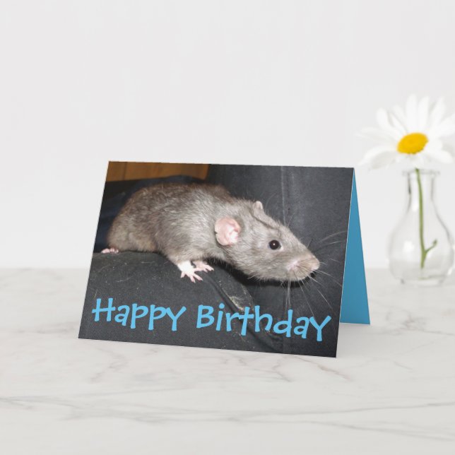 Cartão de aniversário Blue Dumbo Rat (Planta pequena)