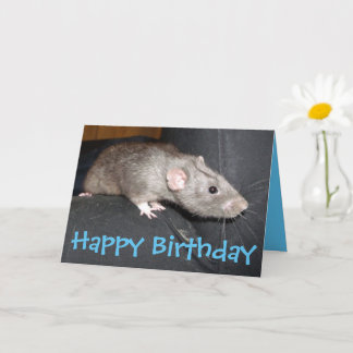 Cartão de aniversário Blue Dumbo Rat