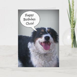 Cartão de Aniversário Bordercollie