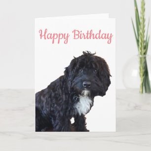 Cartão de Aniversário - Cartão de Saudação Pupppy