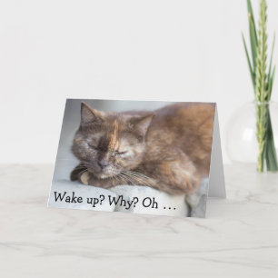 Cartão de Aniversário &Cat: Acordar para um Aniver