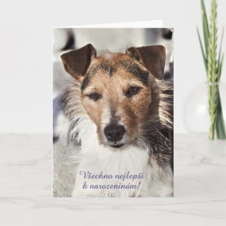 Cartão de Aniversário Checo Canino