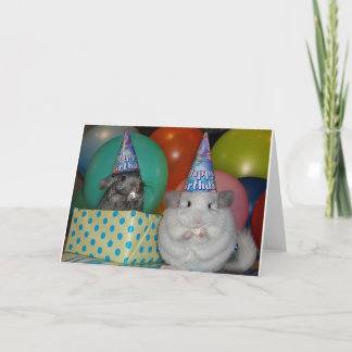 Cartão de Aniversário Chinchilla Engraçado