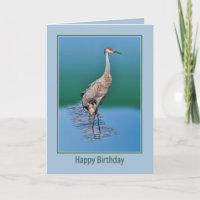 Cartão de aniversário com Baby Sandhill Crane