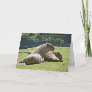 Cartão de aniversário com Capybara