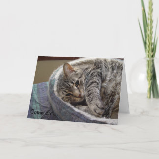 Cartão de Aniversário com cinzas bonitinhas Gato: