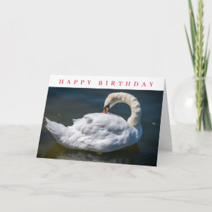 Cartão de aniversário com cisne branco a se arruma
