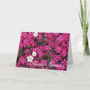 Cartão de Aniversário com Flores Cor-de-Rosa Bonit