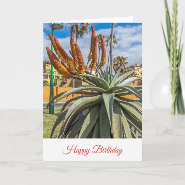 cartão de aniversário com flores de Aloe Vera (Frente)