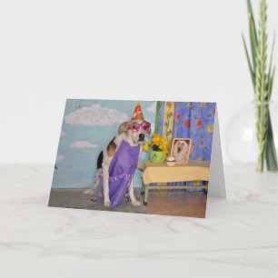 Cartão de aniversário com fotografia de um cão ves