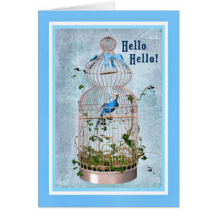 Cartão de aniversário com papagaio Bonito