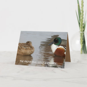 Cartão de aniversário com patos Shoveler