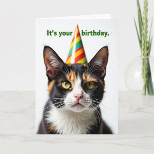 Cartão de Aniversário com Retrato Felino