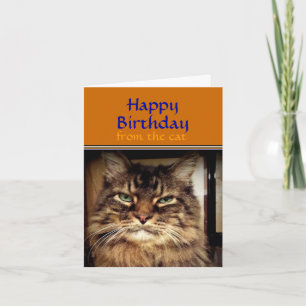 Cartão de aniversário com sorriso de gato engraçad