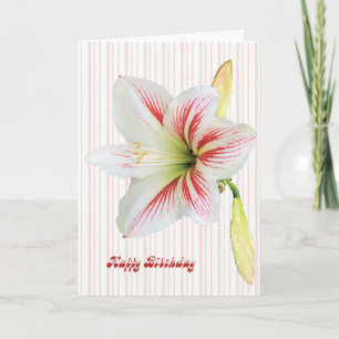 Cartão de aniversário com uma bela Lily
