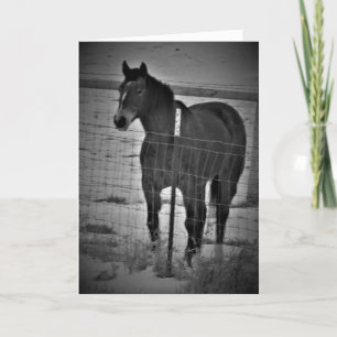 Cartão de Aniversário "Comece Com O Seu Cavalo Alt