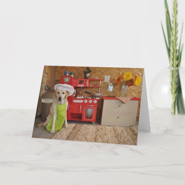 Cartão de aniversário cómico, cão vestido como o (Frente)