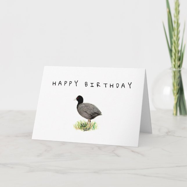 Cartão de Aniversário Coot Antigo (Frente)