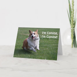 Cartão de aniversário Corgi