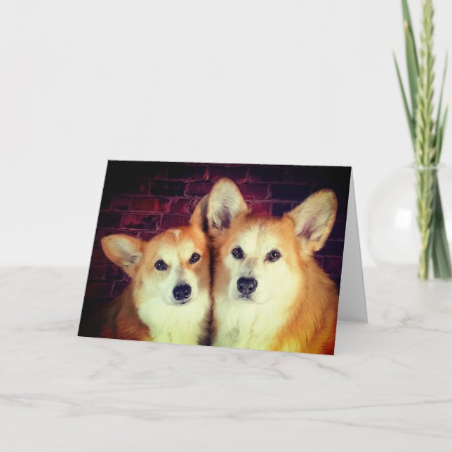 Cartão de aniversário Corgi (Frente)