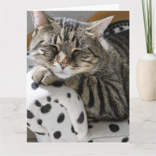 CARTÃO DE ANIVERSÁRIO CORTÁRIO DE GATO