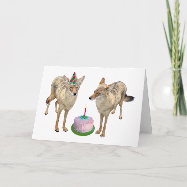 Cartão de Aniversário Coyotes (Frente)