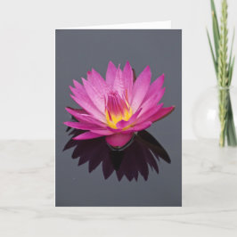 Cartão de Aniversário da Água Lily