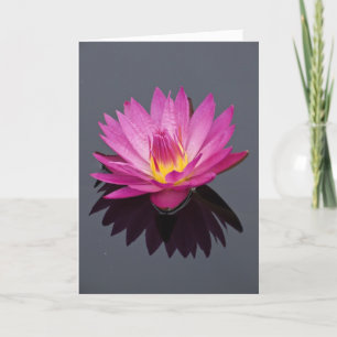 Cartão de Aniversário da Água Lily