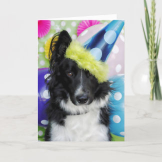 Cartão de Aniversário da Borda Collie