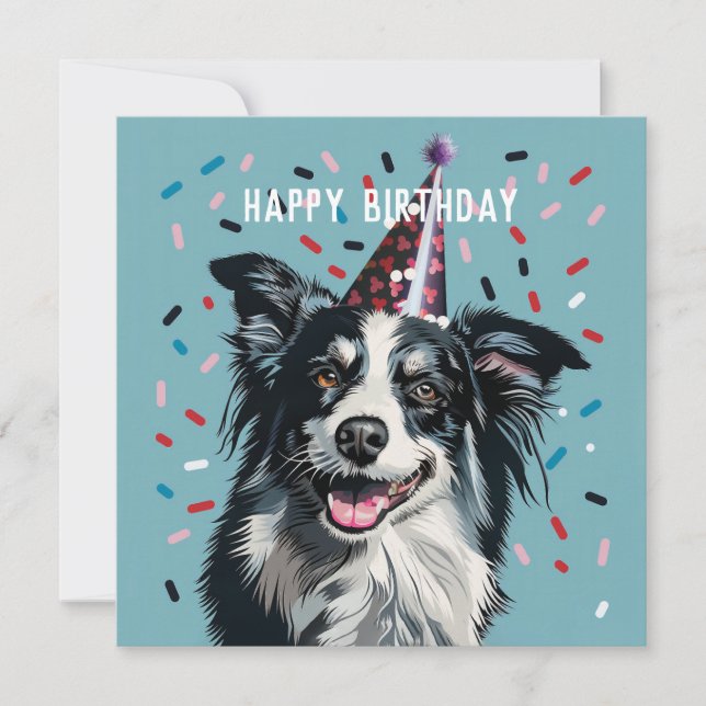 Cartão de Aniversário da Border Collie (Frente)