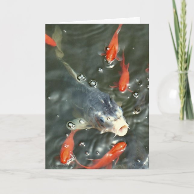 Cartão de Aniversário da Bubble (Frente)