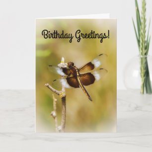Cartão de Aniversário da Dragonfly Nature Art