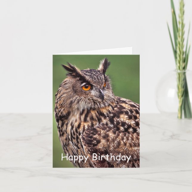 Cartão de Aniversário da Eagle Owl (Frente)