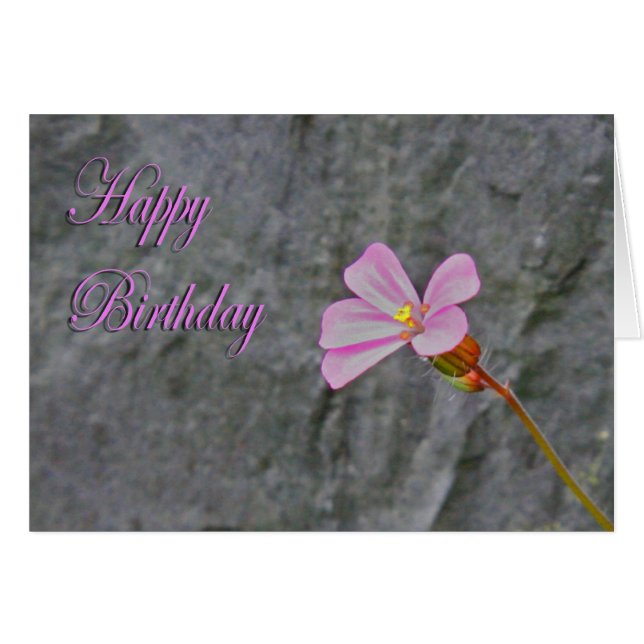 Cartão de Aniversário da Flor Branca e Rosa (Frente Horizontal)