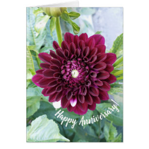 Cartão de Aniversário da Flor Dahlia Roxo Profundo