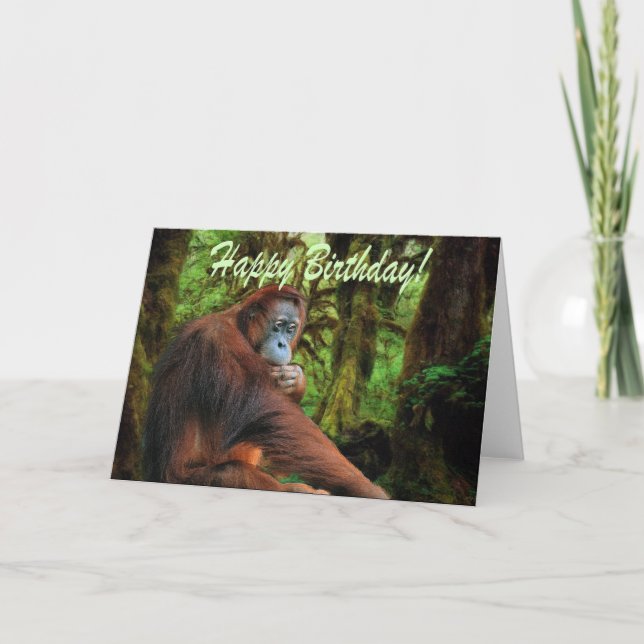 Cartão de Aniversário da Floresta Orangutan (Frente)