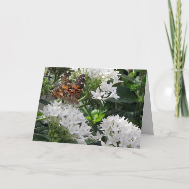 Cartão de Aniversário da Lady Butterfly Pintado (Frente)