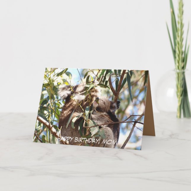 Cartão de aniversário da mãe com Koala joey (Frente)